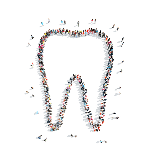 Payment plan the wisdom teeth guys wisdom teeth removal in utah